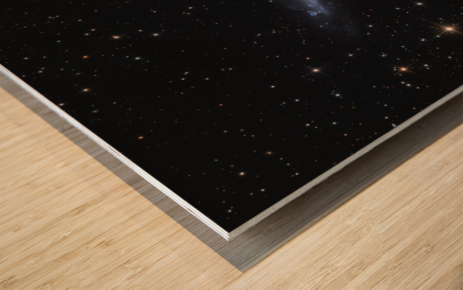 The Shy Spiral - February 23rd 2025 Wood print