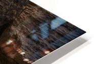 The North Pole HD Metal print