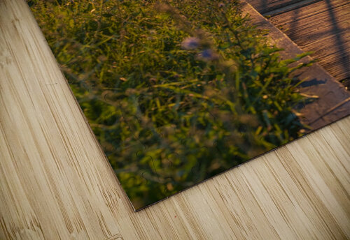 BridgeBoardwalk CathieW puzzle
