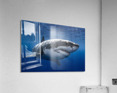 The One Acrylic Print