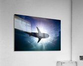 Silhouette  Acrylic Print