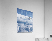 Blue Bystander Acrylic Print