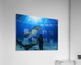 Shuttle Acrylic Print