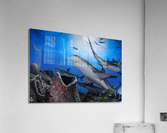 Reef Roamers Acrylic Print