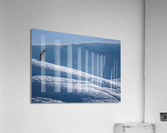 Sapphire Slide Acrylic Print