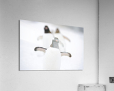 Triquetrum Acrylic Print