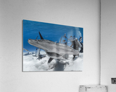 Blind Side Acrylic Print