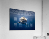 Blue Sneer Acrylic Print