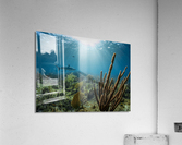 Garden Garrison Acrylic Print