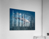 Surface Doublet Acrylic Print