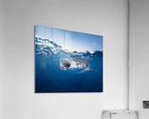 Big Gulp Acrylic Print