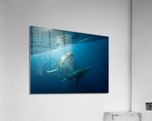 Aurora Acrylic Print