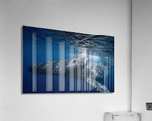 Bond Acrylic Print