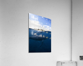 Humpback Isle Acrylic Print