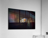 Night Rider Acrylic Print