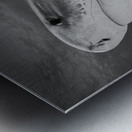 Requiem Metal print