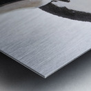 Flap & Flatter Metal print