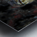 Galaxy Metal print