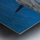 Blind Side Metal print
