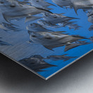 Shallow Shoal Metal print