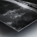Evenin Turt Metal print