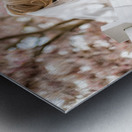 3Panel Metal print