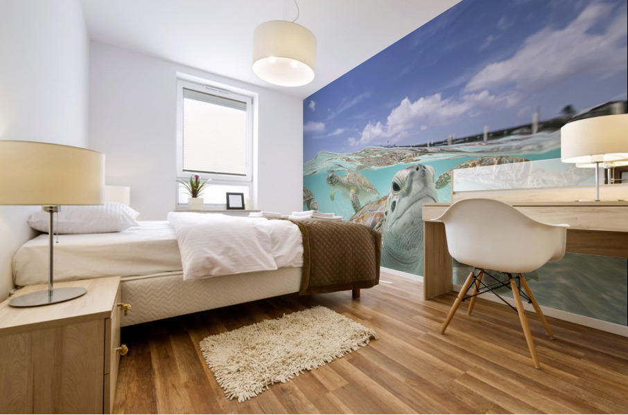 Turquoise Turtles Mural print