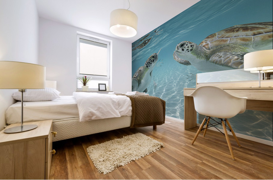 The Two Mural print
