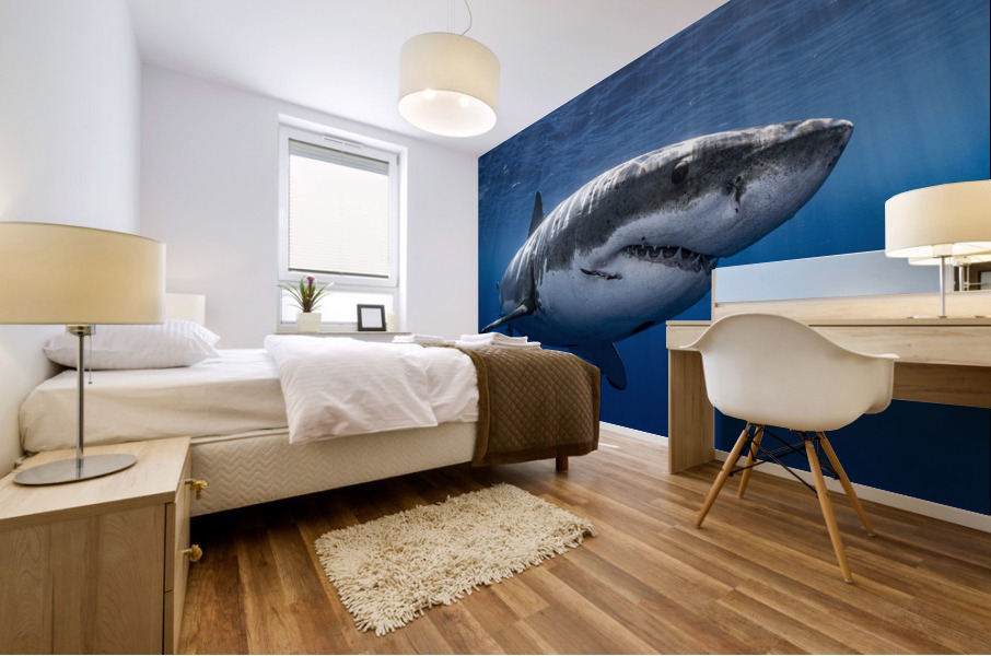 The One Mural print