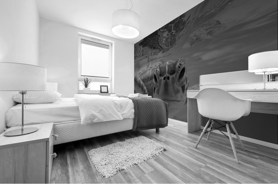 Soul Searching Mural print