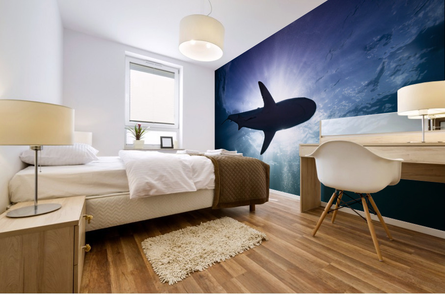 Silhouette  Mural print