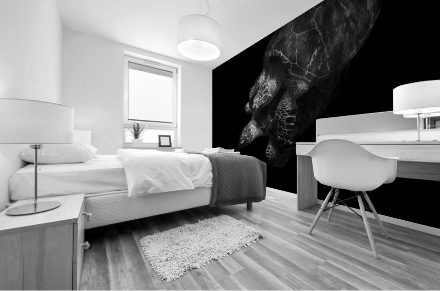 Courting Chelonioidea Mural print