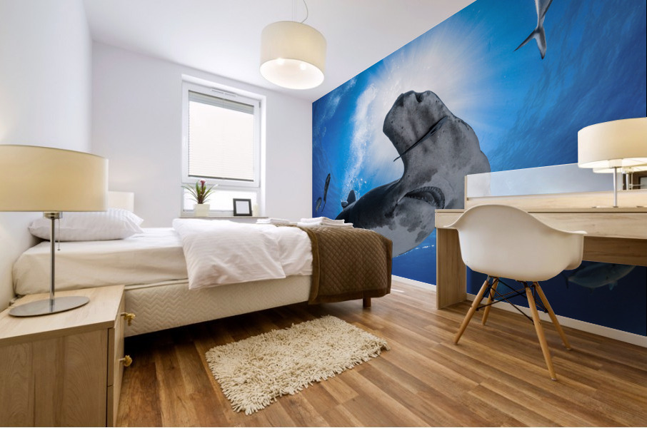 Sunshine Sphyrna Mural print