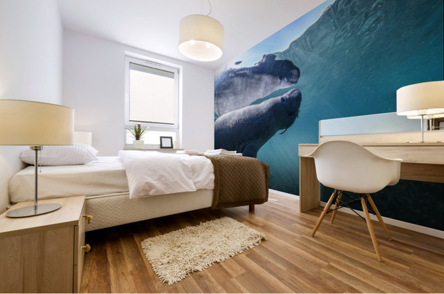Reflectee Mural print
