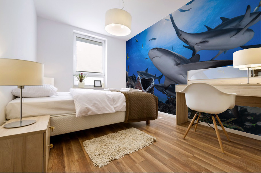 Reef Roamers Mural print