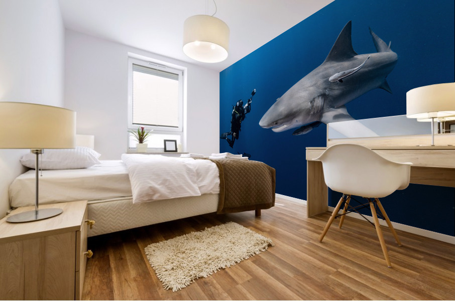 Divers Delight Mural print