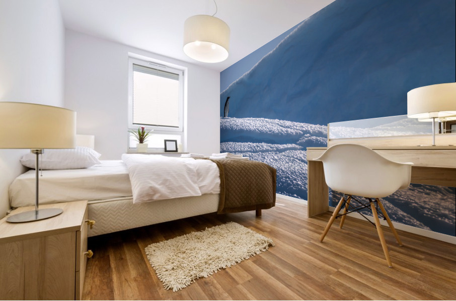 Sapphire Slide Mural print