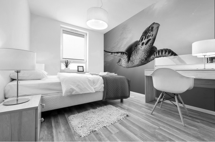 Queens Landing Mural print