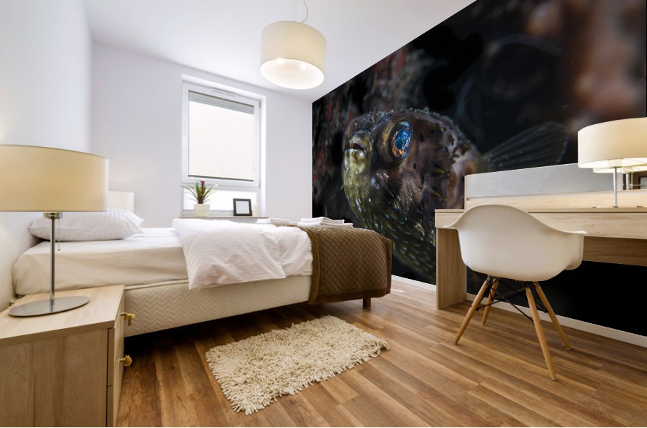 Galaxy Mural print