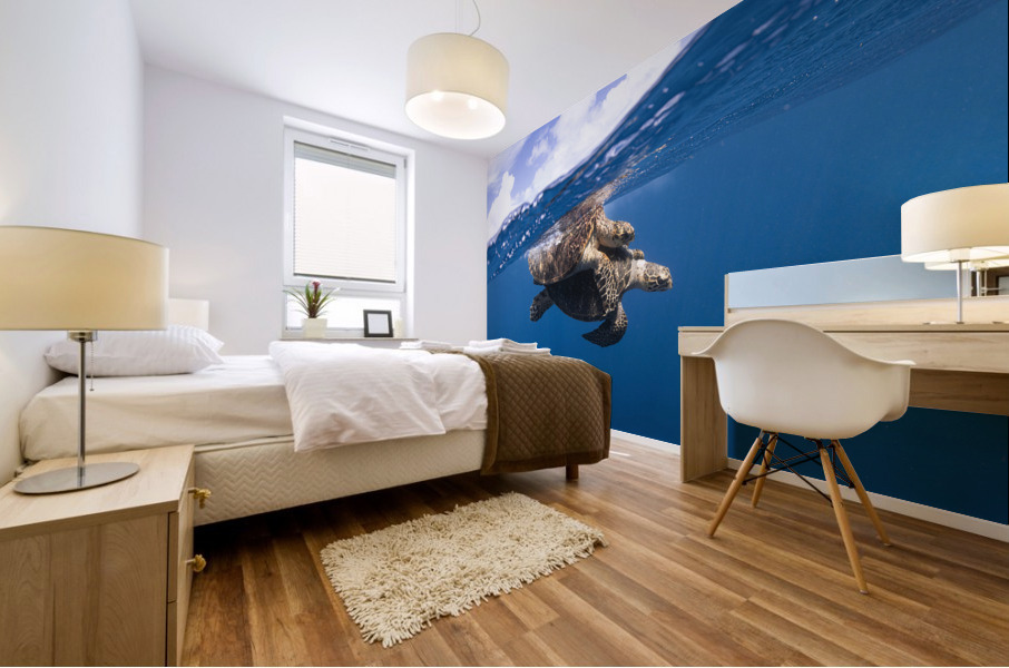 Turtle Tango Mural print