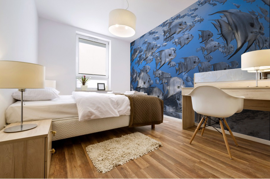 Shallow Shoal Mural print