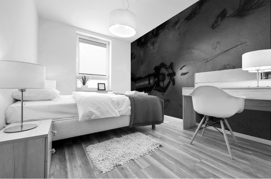 Light Ray Mural print