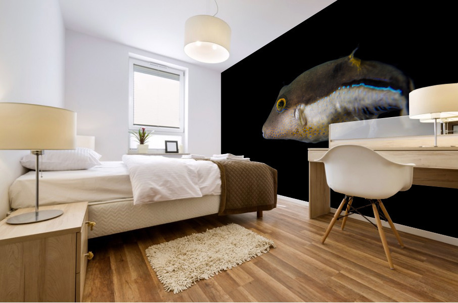 Introvert Mural print
