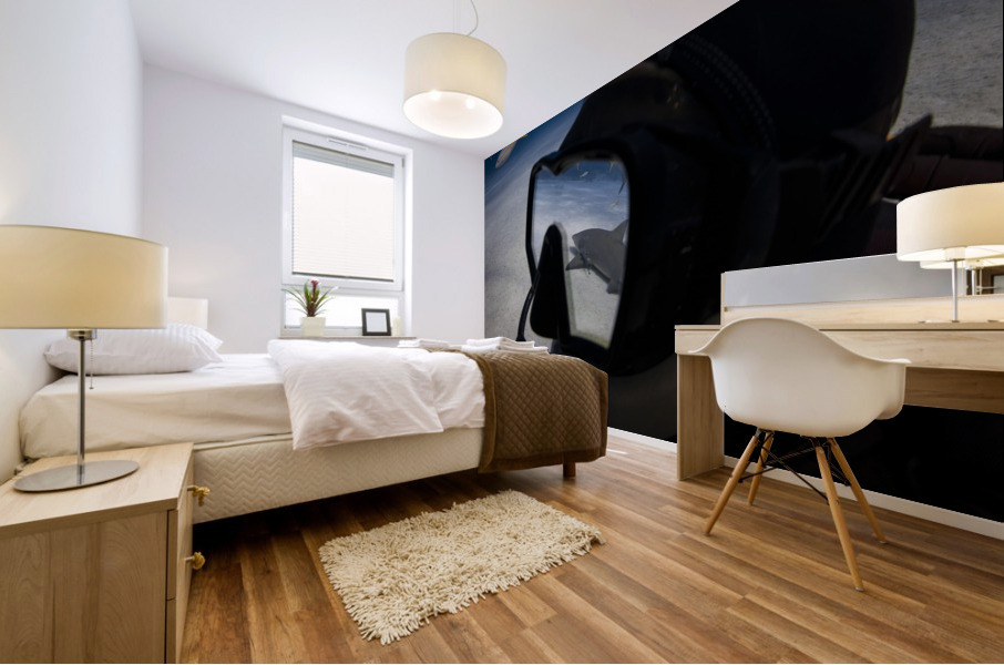 Mirror Mirror Mural print