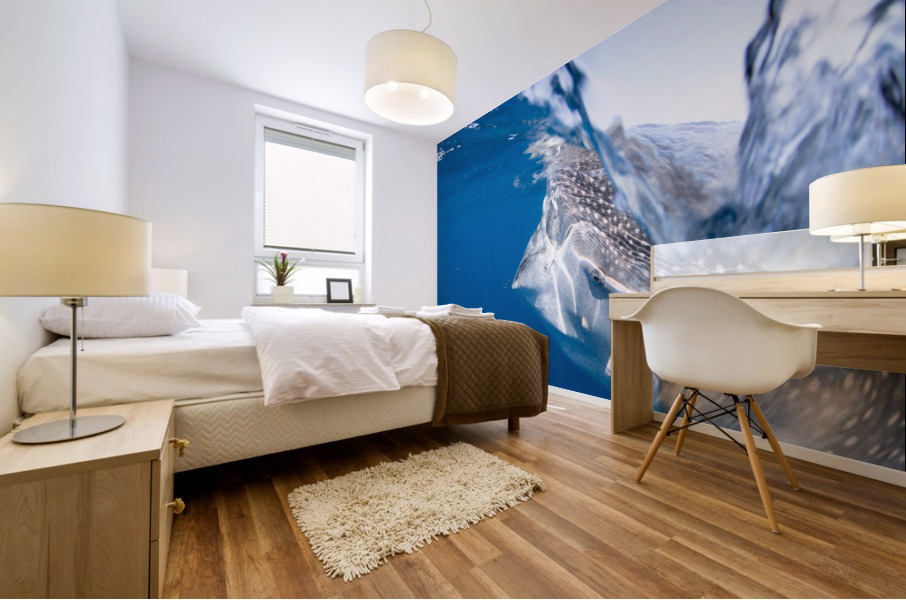 Splish Splash Mural print
