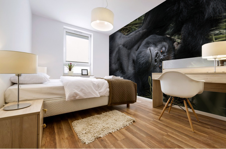 Gaze in the Congo Mural print