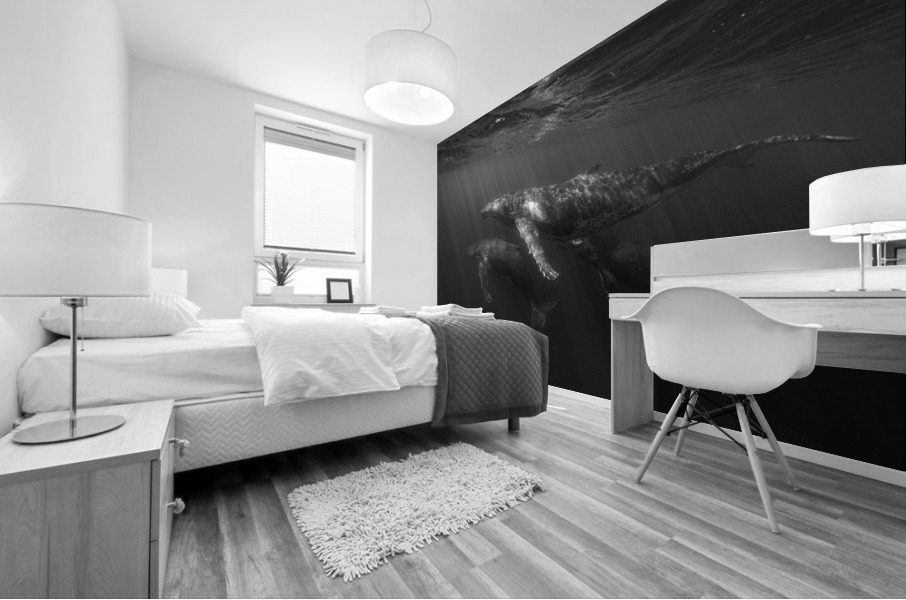 Migrating Megaptera Mural print