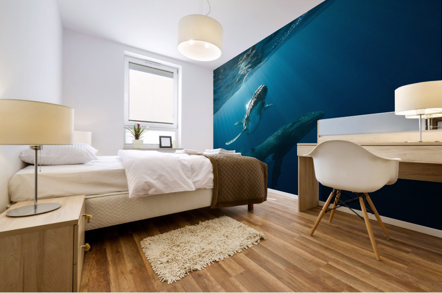 Aurora Mural print