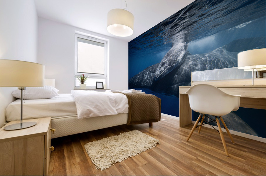 Bond Mural print