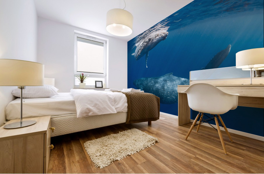 First Glance Mural print